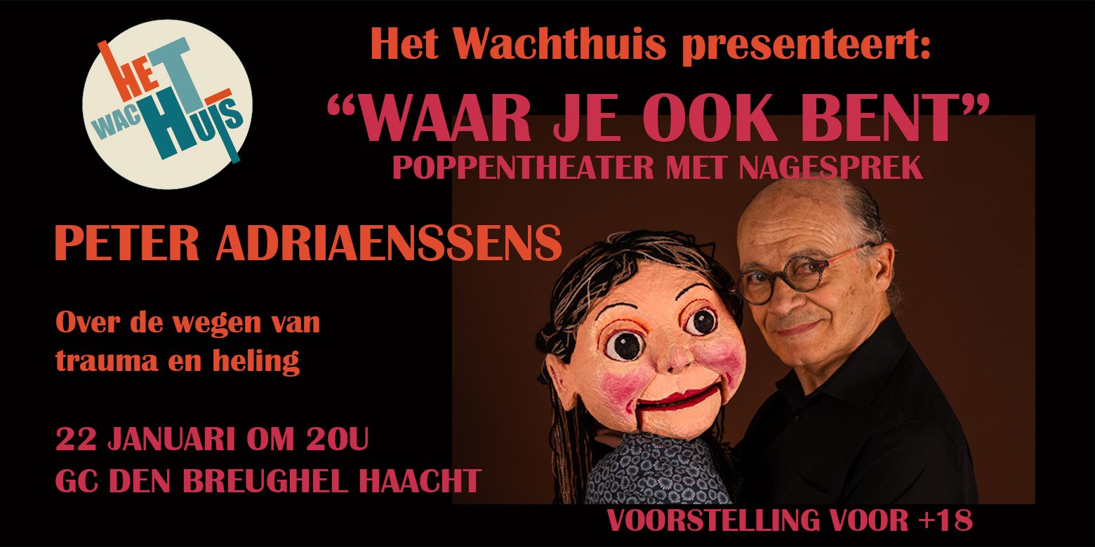 WAAR JE OOK BENT - Peter Adriaenssens over de wegen van trauma en heling